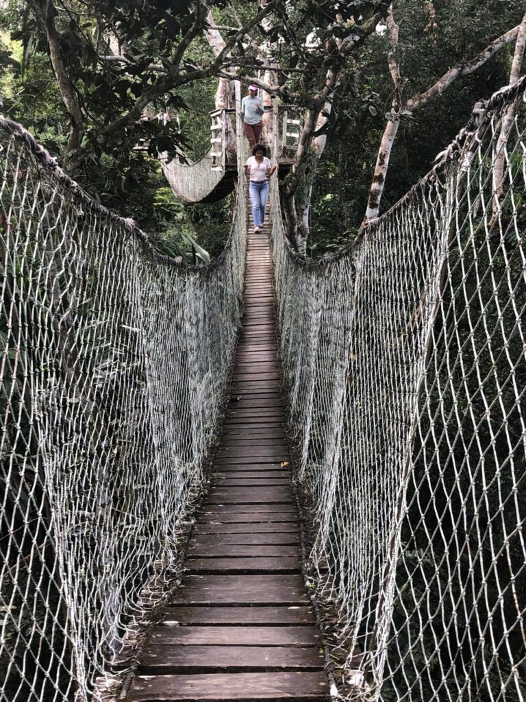 Puente